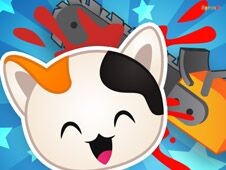 Guess the Kitty Guess the Kitty